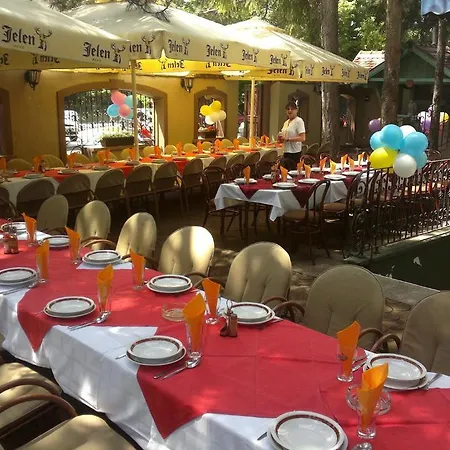 Guest Kordun * Novi Sad